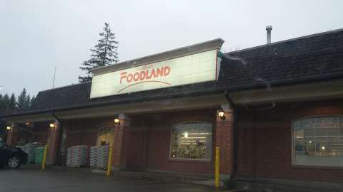 Foodland - Millbrook